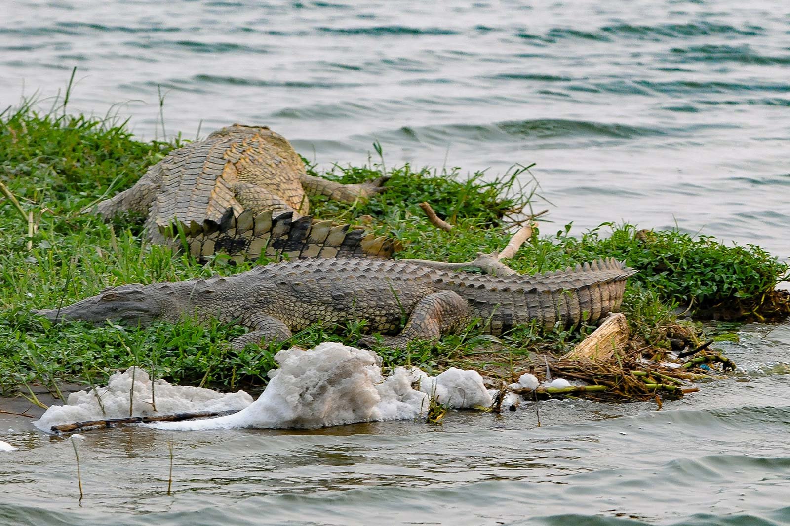 Queen Elizabeth National Park Gap Travels Uganda